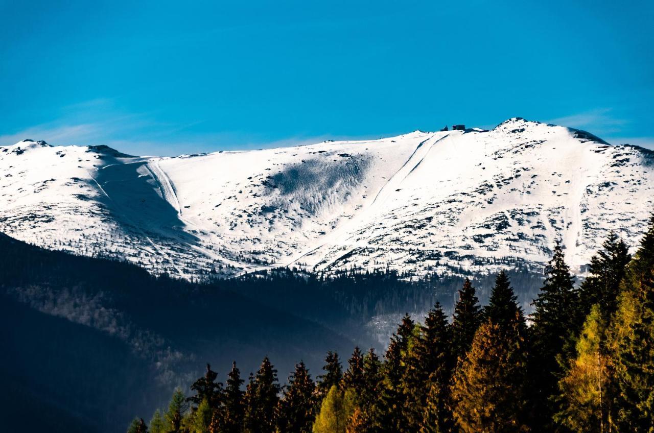 Apartman Myto Mýto pod Ďumbierom Bagian luar foto