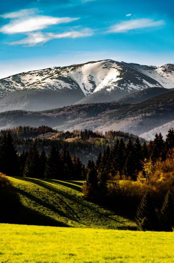 Apartman Myto Mýto pod Ďumbierom Bagian luar foto